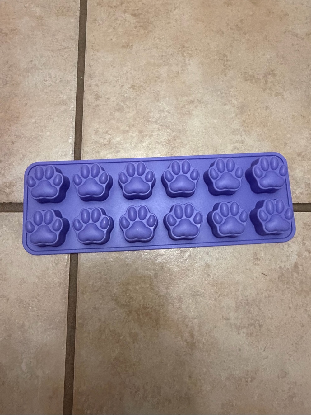 12 ct Paw-Shaped Silicone Treat Mold - Purple